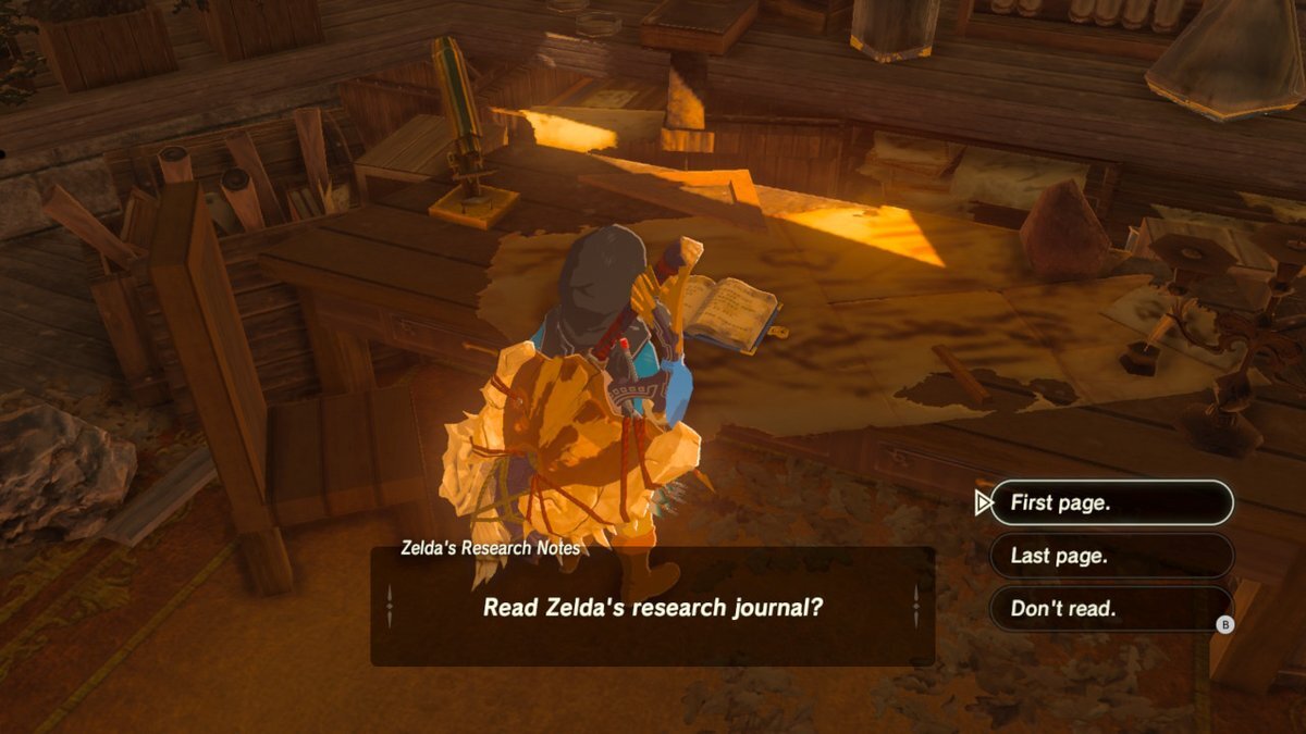 Zelda's research journal.