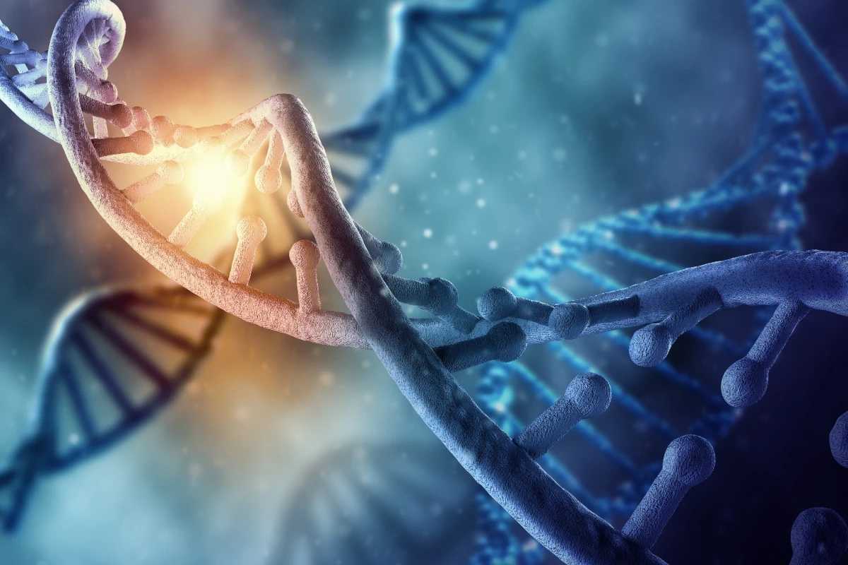 Human Genome Project-Write aims to push the science of genetic engineering higher while bringing costs lower