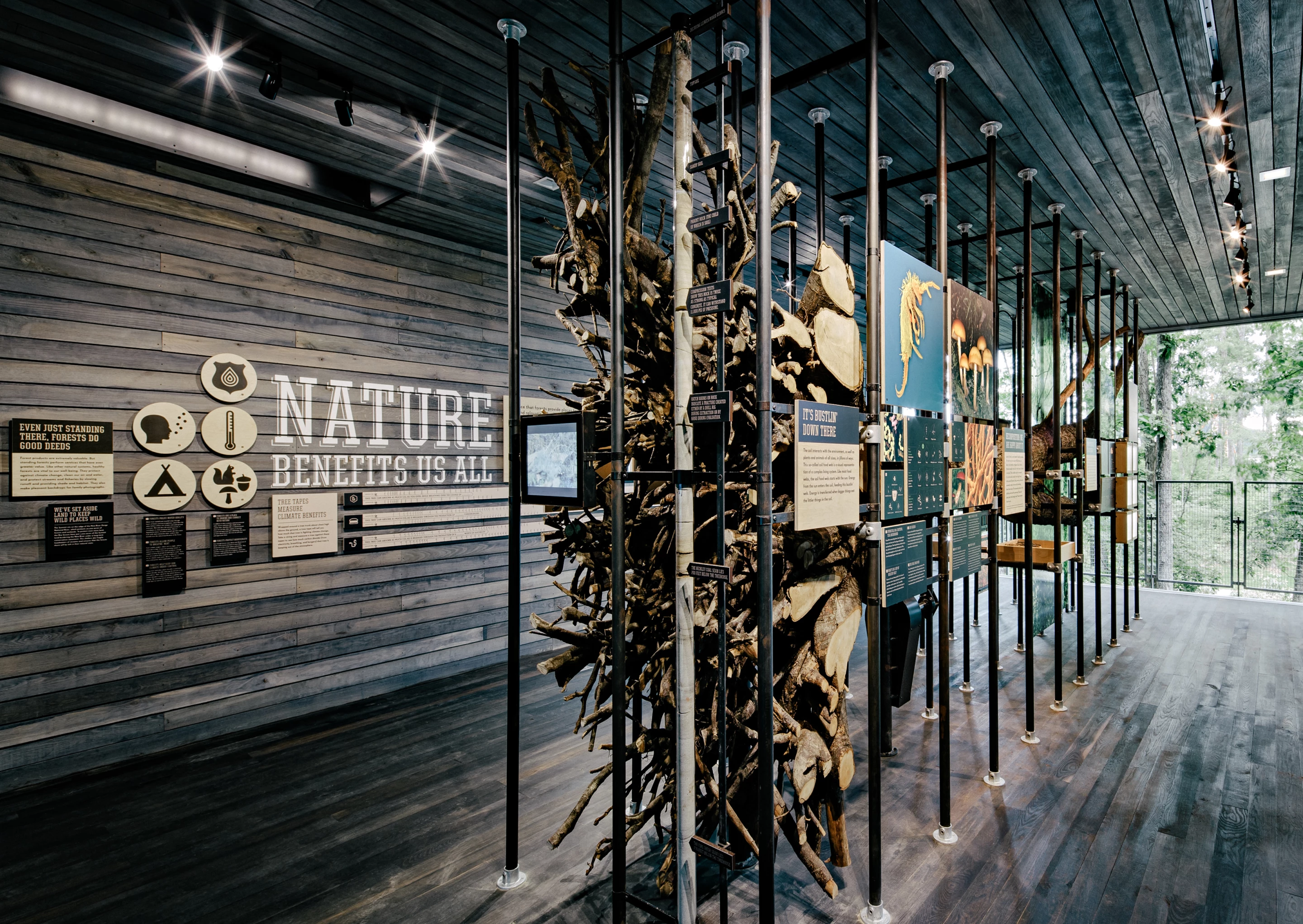 Interactive exhibits in the Sustainability Treehouse empower visitors to translate knowledge into action (Photo: Joe Fletcher)
