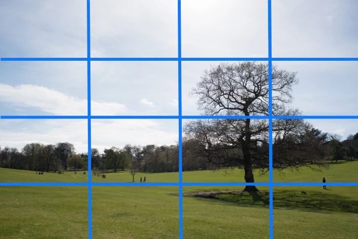 Getting out of Auto: Understanding the metering modes on your camera