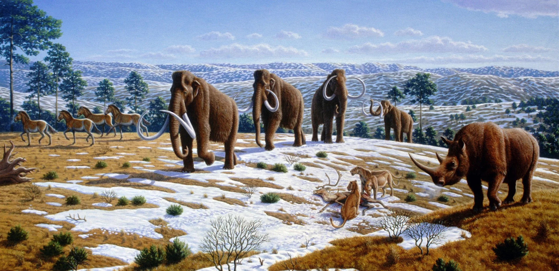 An artist's impression of an Ice Age ecosystem – similar to the one that Pleistocene Park is trying to recreate