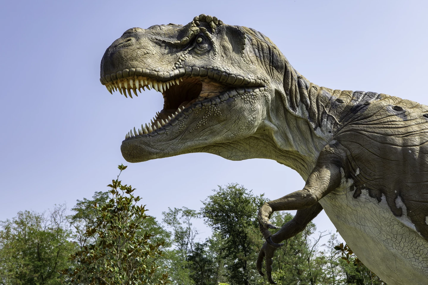 Sorry, Steven Spielberg, your Jurassic Park apex predator has had a scientific makeover