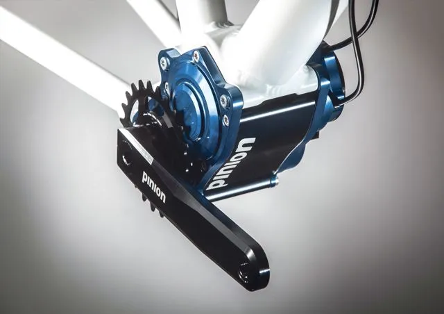 Because it can only be built into dedicated frames, the Pinion P1.18 isn’t currently available to the general public