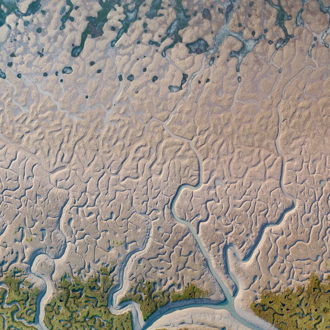 Bizarre sand formation between beaches, muddy plains and marshes over a large estuary of Cadiz Bay, around salt marsh of Isla Trocadero created by action of the sea and fluvial sediments deposited over centuries. Cadiz Bay, Puerto Real, Southern Spain