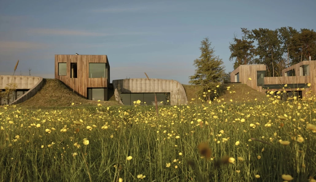 The 75.9 residence blooms admid field flowers
