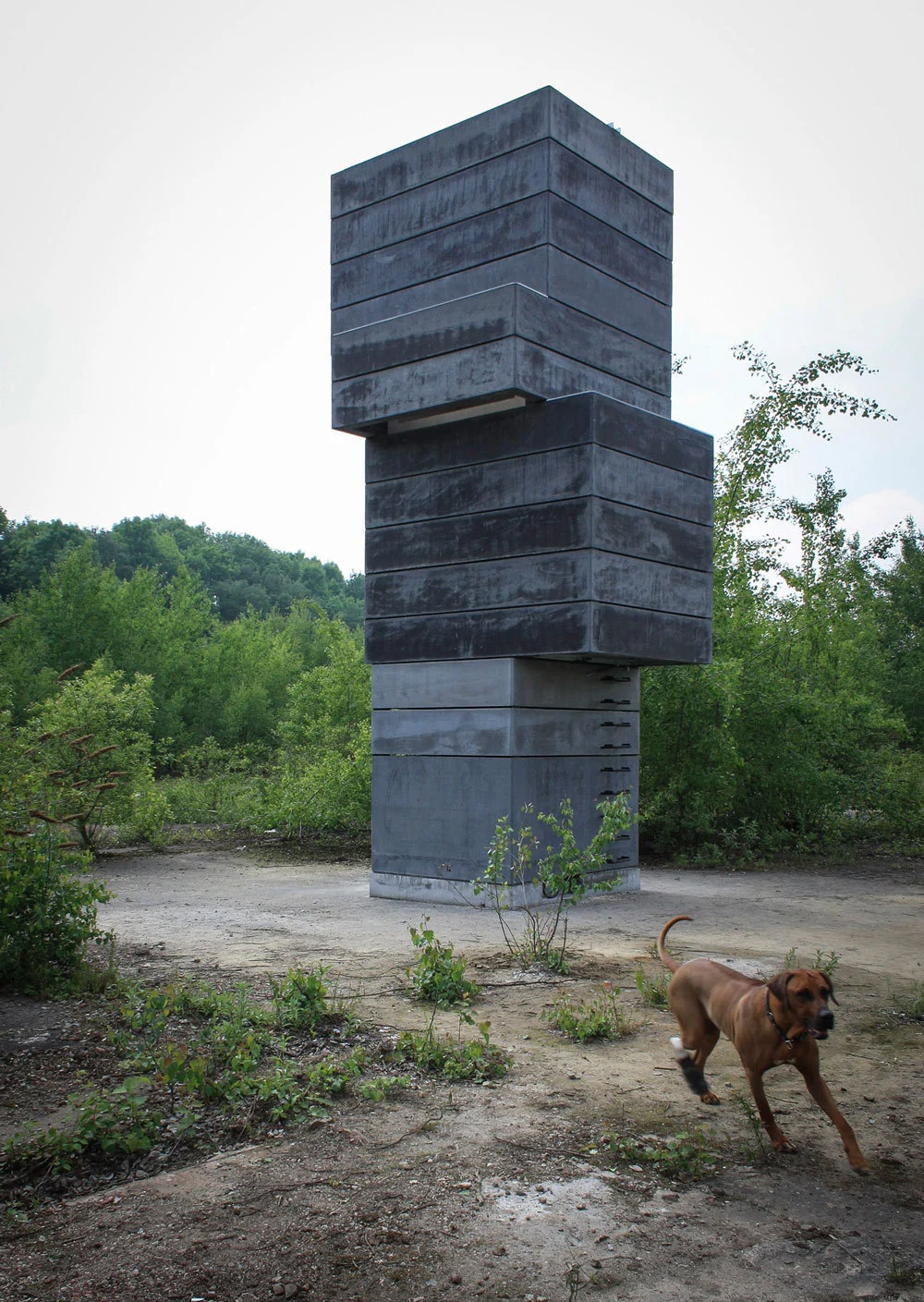 The sauna was designed as part of the Das Detroit Projekt (Photo: Modulorbeat)