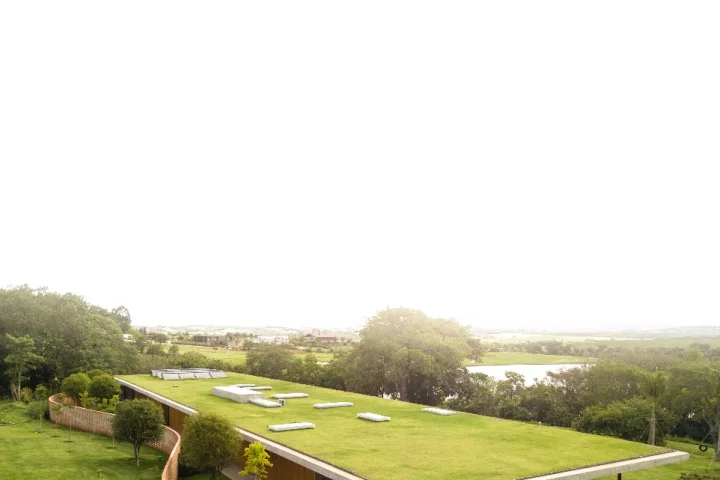 Planar House is defined by its massive concrete roof, which is covered in greenery