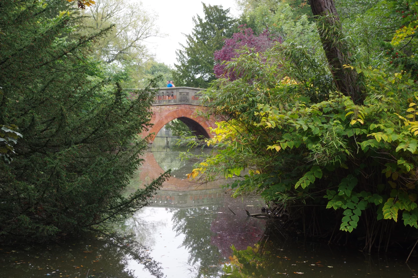 The Pentax K-3 II produces high-quality images