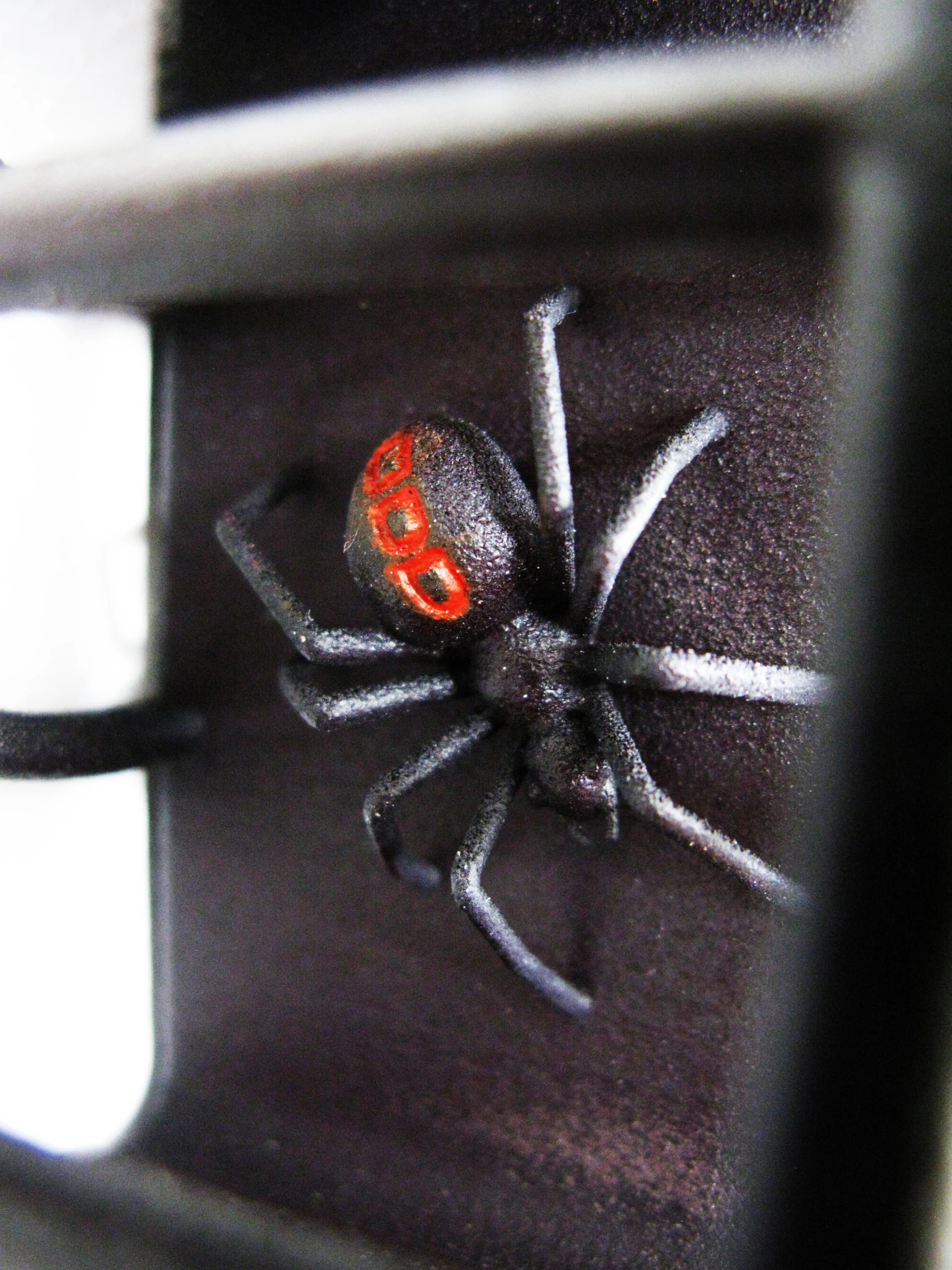 Close up of one of the spiders at home in the web body of the ODD Spider