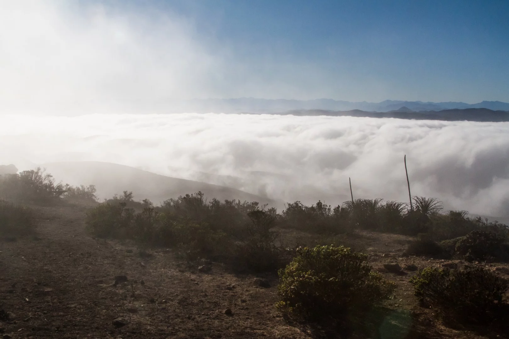 A legendary mist known as the Camanchaca rolls into Chile from the Pacific Ocean