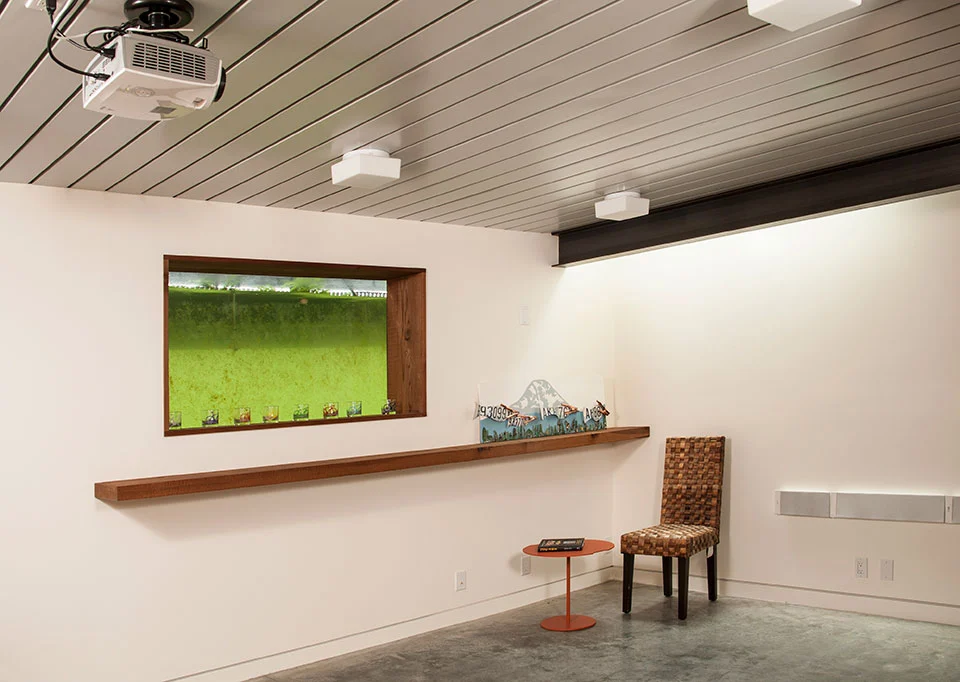 Houseboat H's underwater window, offering a view of the fish habitat