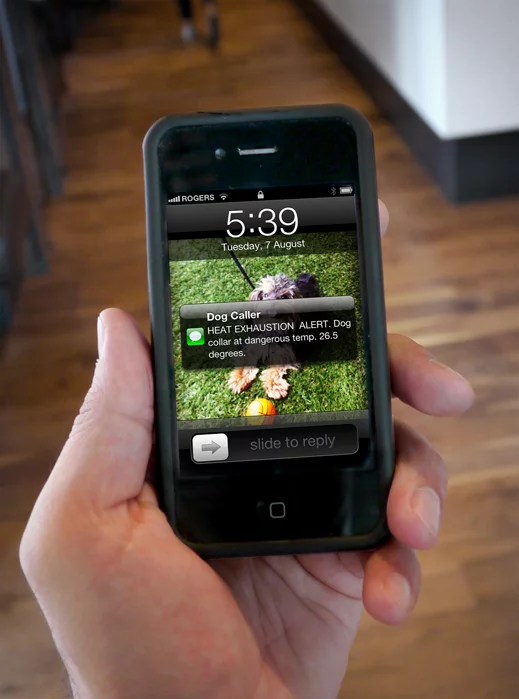 The Dog Caller sends an SMS to the owner if the dog gets too hot