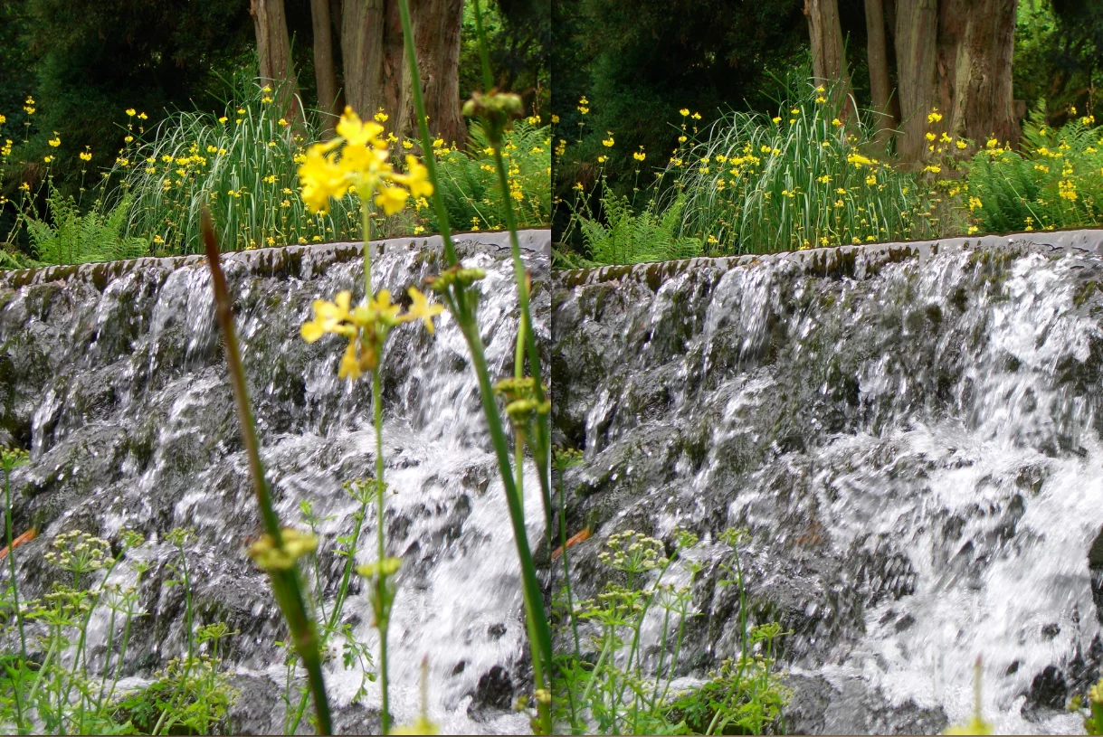 Before and after: with and without foreground flora (Photo: Gizmag)