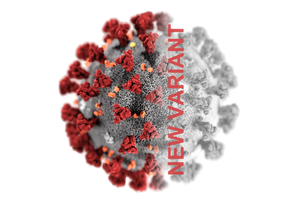 Where did the Omicron variant of SARS-CoV-2 come from, and what does it mean for the future of the pandemic?