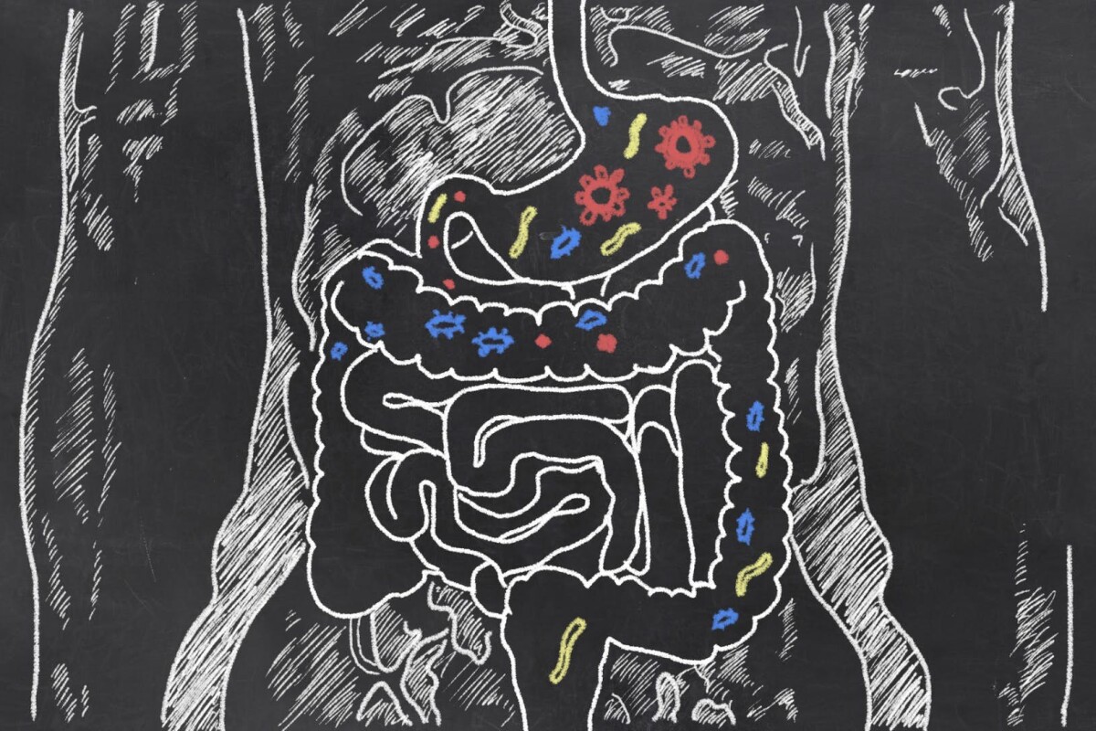 Revolutions: The gut microbiome