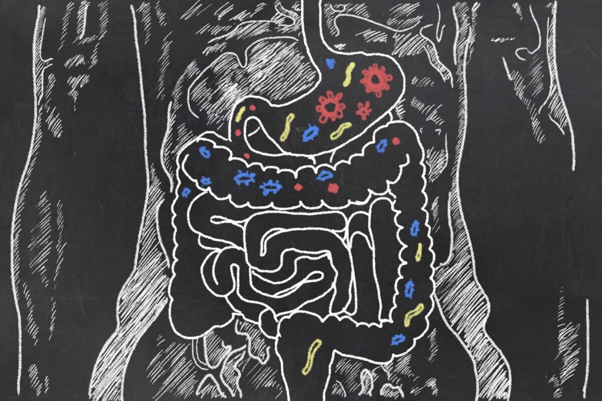 A primer on the state of cutting-edge microbiome research in 2018