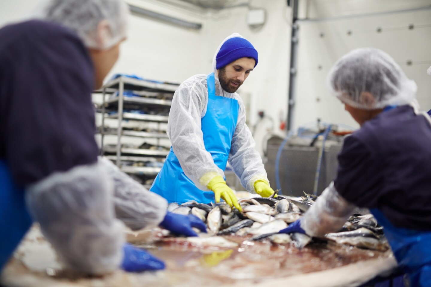NoVAqua tech harvests nutrients from seafoodprocessing wastewater
