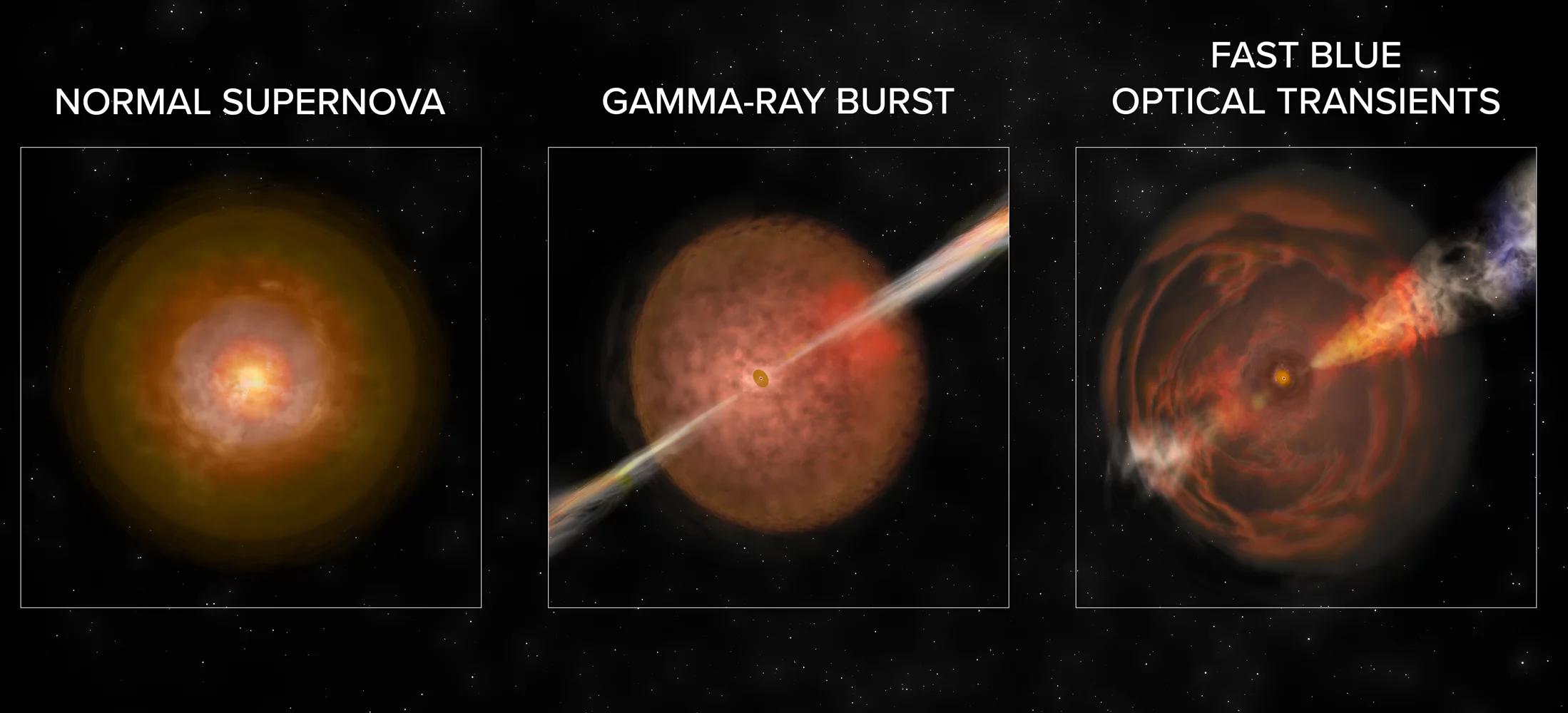 FBOTs have different signal features to supernovae and gamma ray bursts
