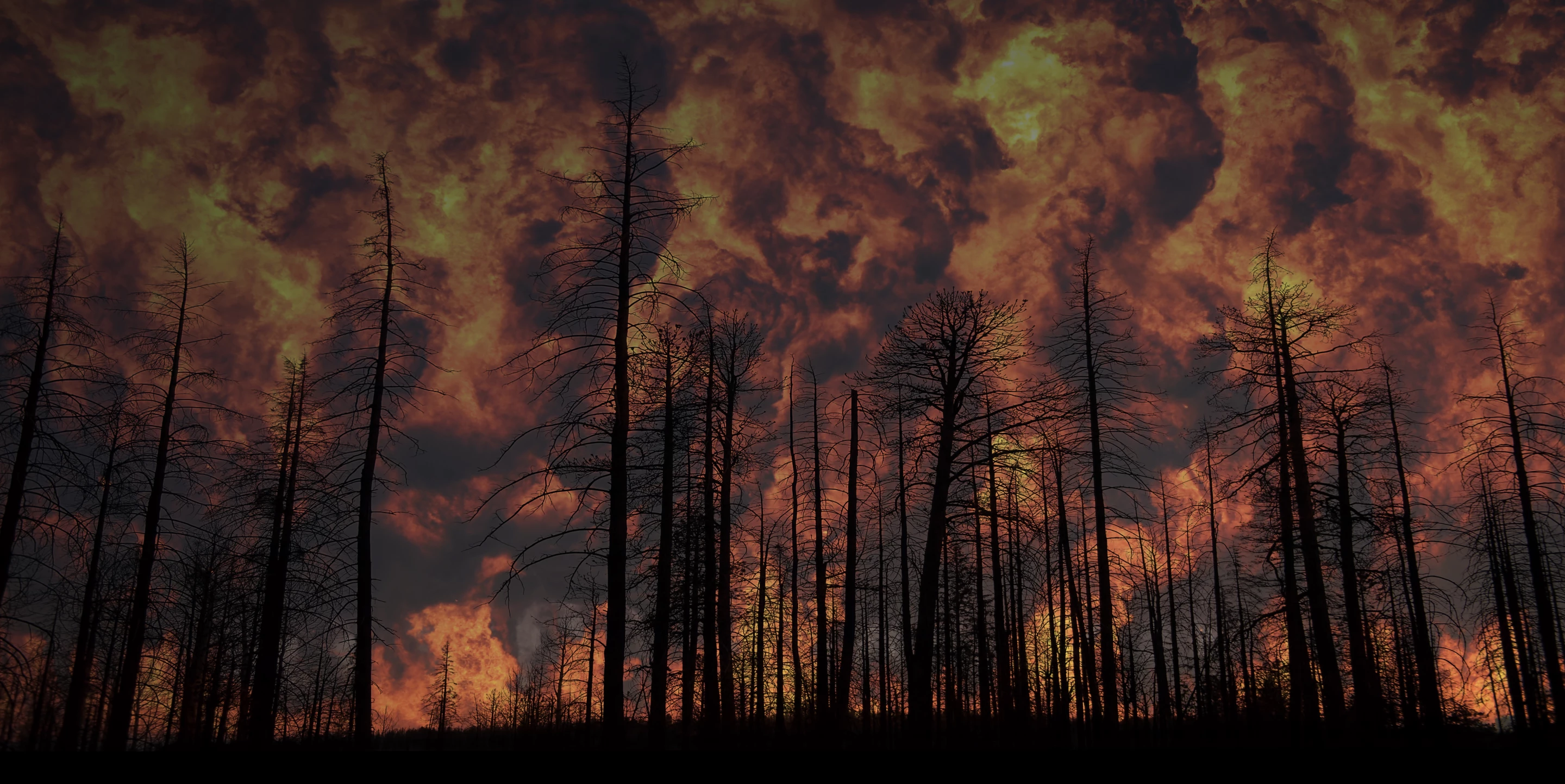 The gel could be preemptively applied to vegetation in areas where forest fires are likely to occur