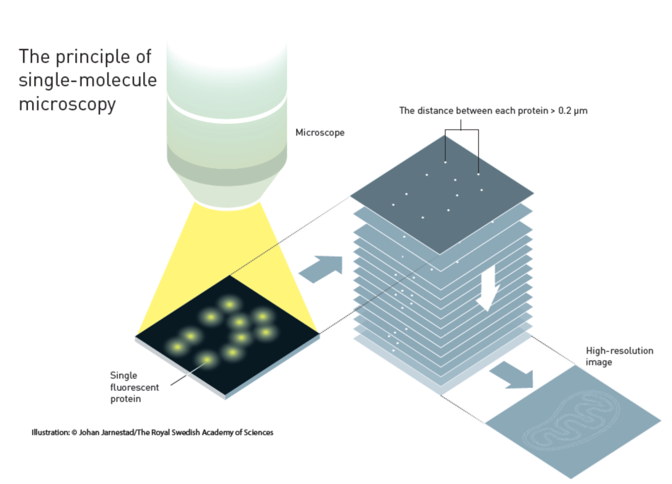 Diagram of single molecule microscopy