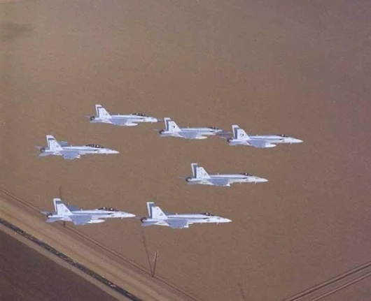 A flock of F/A-18s