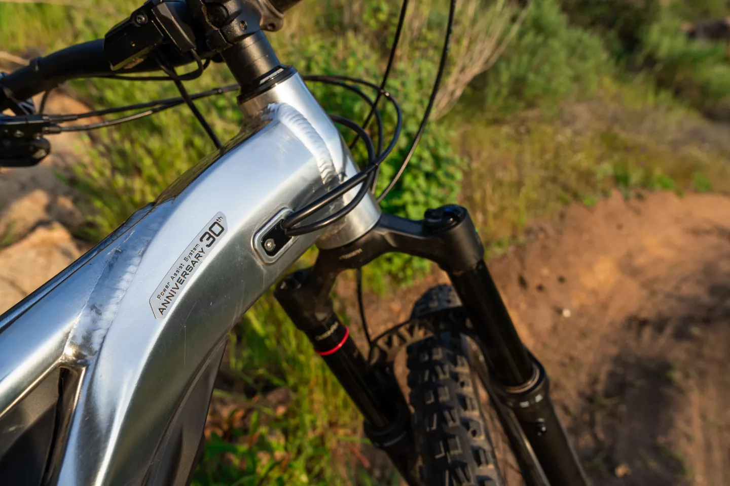 30th Anniversary badging to let other riders know you've got something special