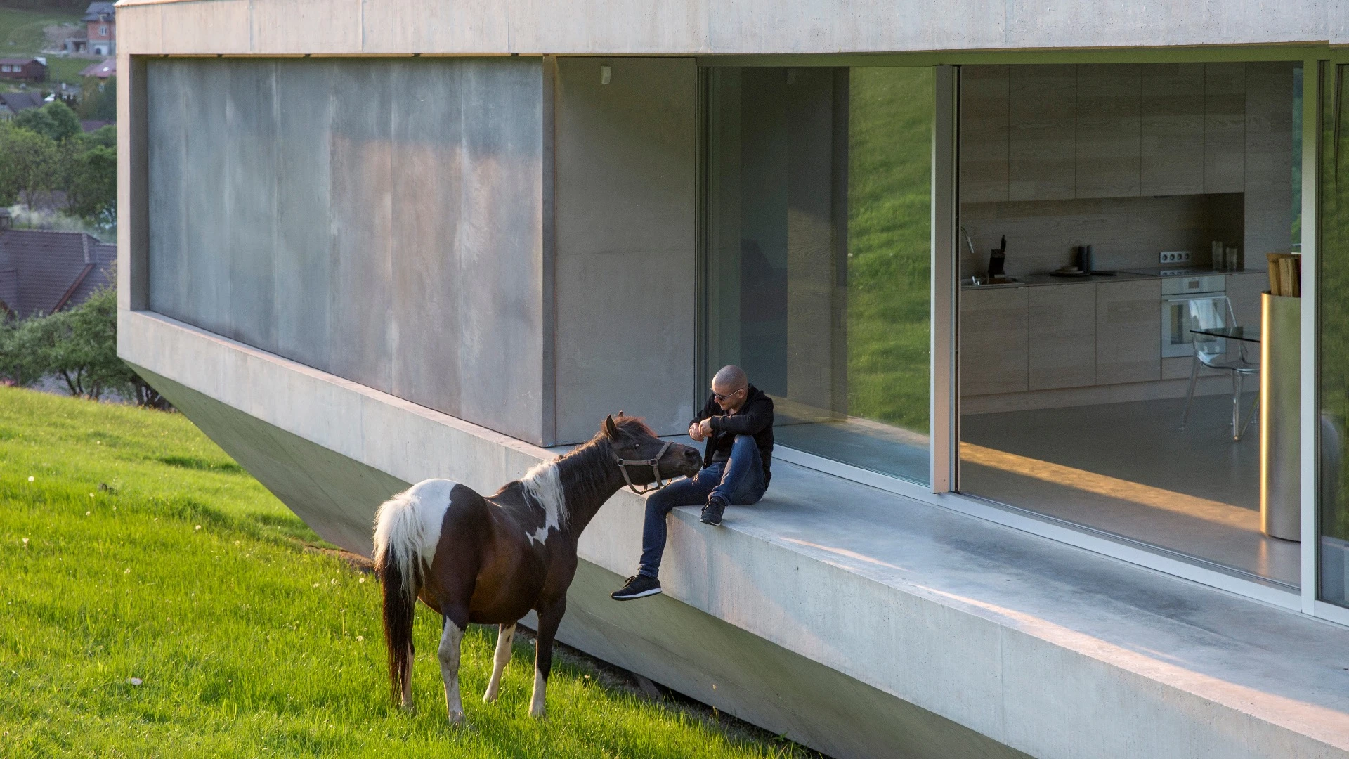 Local grazing animals have also made Konieczny's Ark a home for themselves