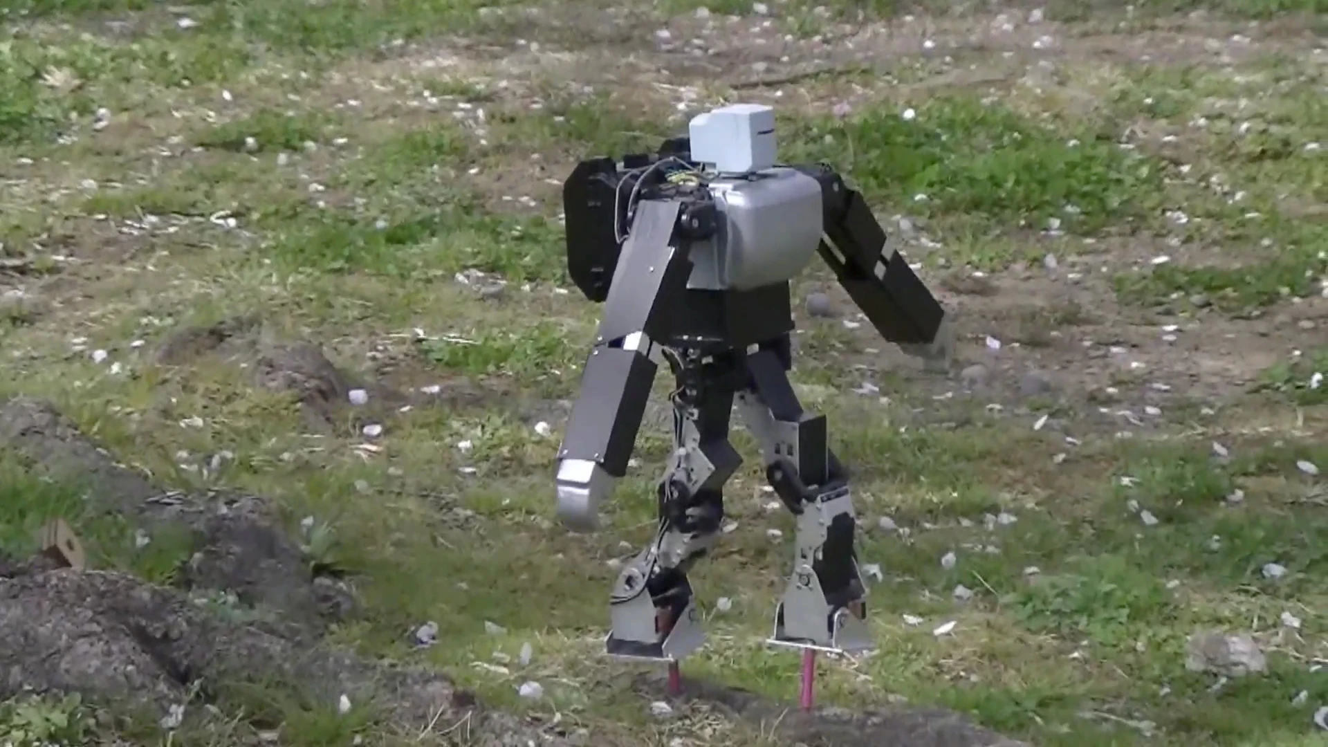 Dr. Guero's hobby robot kit balances on its stilts on the ground outside