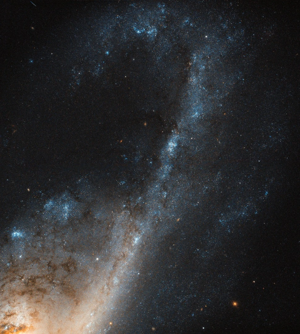 NGC 4536 is roughly 50 million light-years away in the constellation of Virgo, it is a hub of extreme star formation