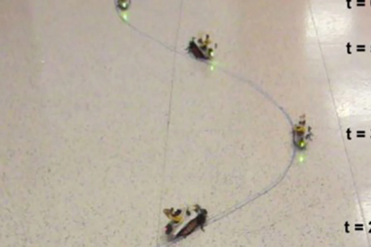 Scientists from North Carolina State University are working on remotely controlable sensor-equipped cockroaches