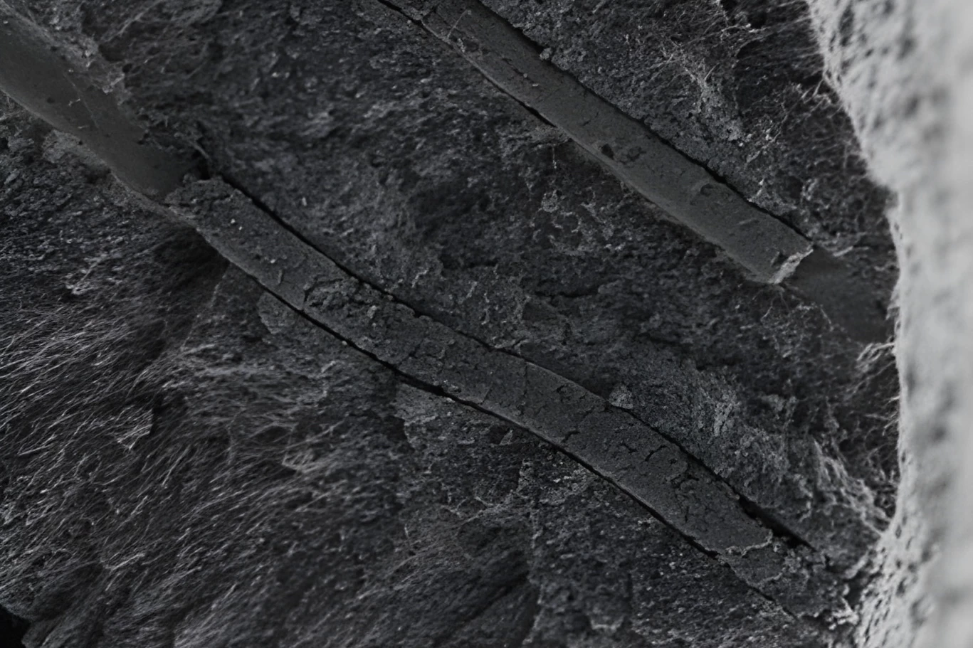 A microscope image of compromised dentin tubules that have been protectively plugged by the CalBots