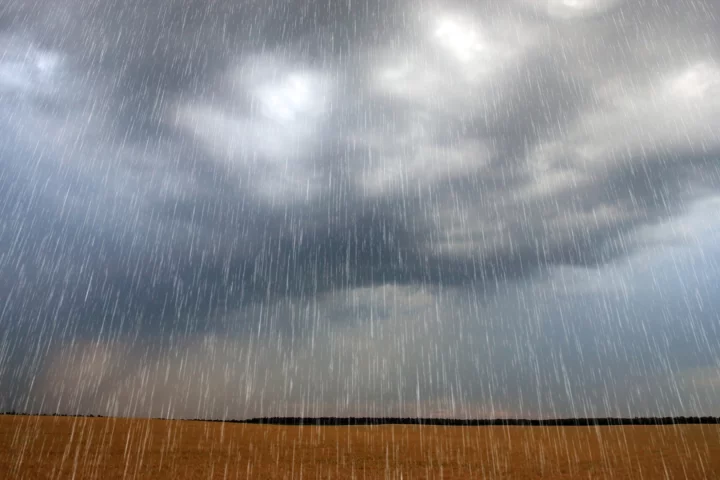 A new study has quantified just how many viruses and bacteria rain down from the atmosphere every day