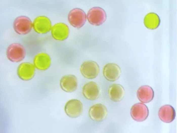 A Berkeley Lab team has created the first magnetic liquid droplets