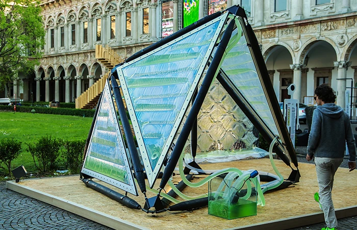 "The flows of energy, water and CO2 are therefore regulated to respond and adjust to weather patterns and visitors' movements. As the sun shines more intensively algae would photosynthesise and grow thus reducing the transparency of the canopy and increasing its shading potential; since this process is driven by the biology of mico-algae is inherently responsive and adaptive; visitors will benefit from this natural shading property while being able to influence it in real-time; their presence will trigger electro valves to alter the speed of algal flow through the canopy provoking an emergent differentiation across the space."