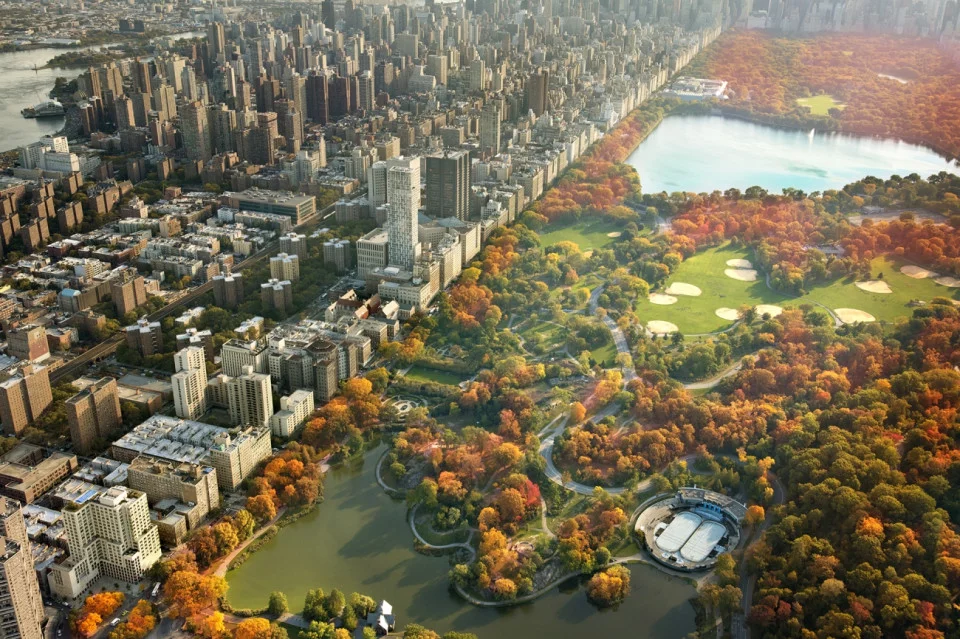 Commended in the 2019 Drone Awards Urban category. Skyscrapers and Fall Foliage in Central Park