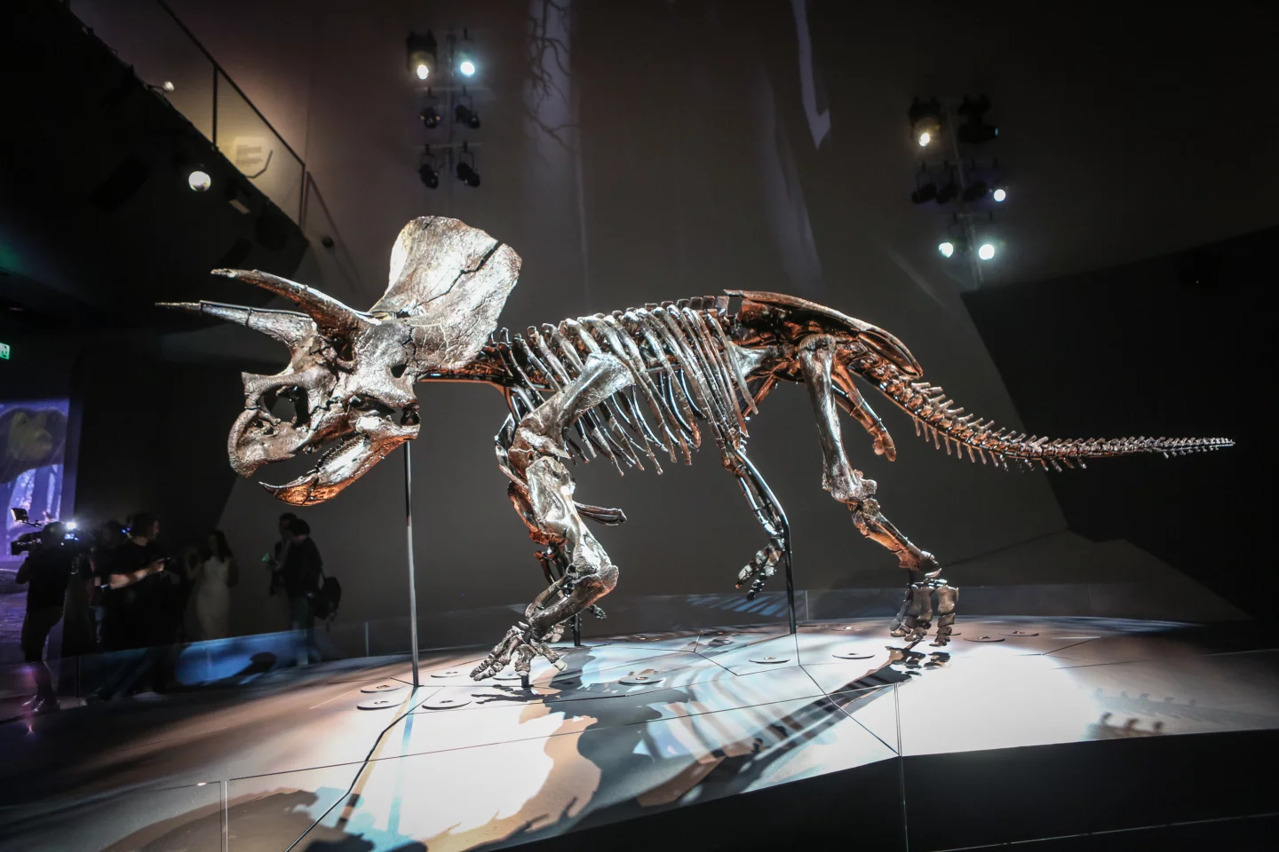 The Triceratops is one of the most well-known dinosaurs