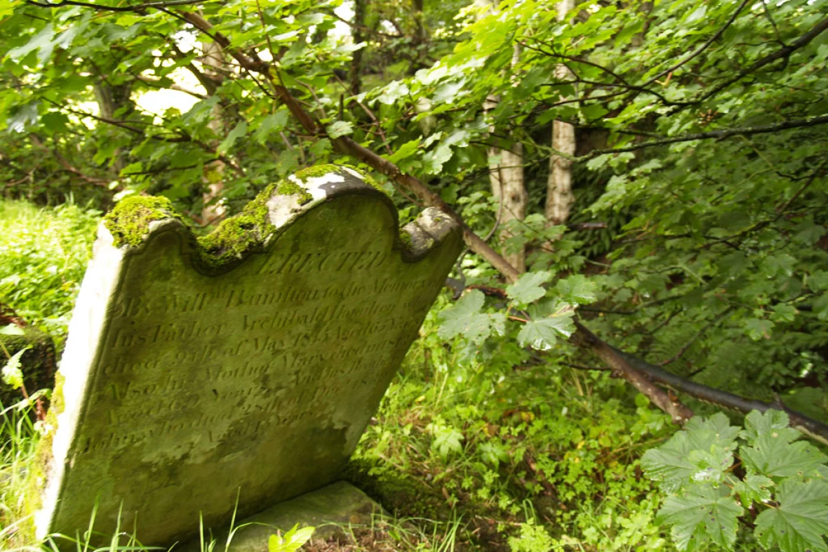 New, green alternatives to cremation and burial are on the way (Photo: Noel McKeegan)