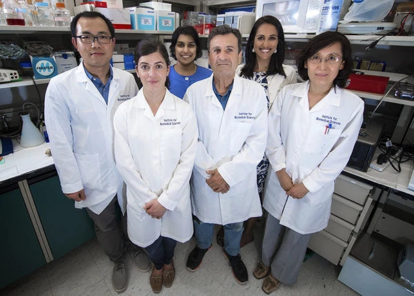 Dr. Didier Merlin and the team behind the ginger-derived nanoparticles