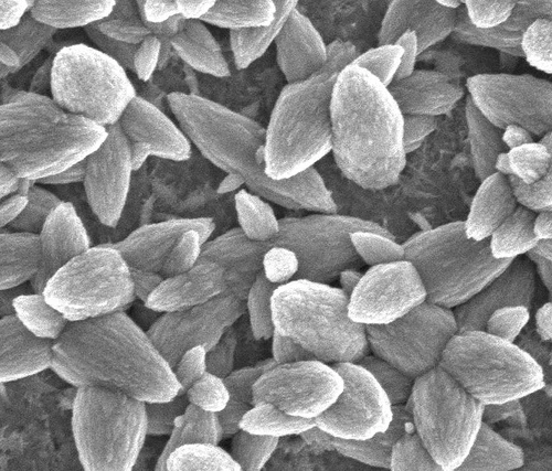 Zinc oxide coatings on copper or aluminum substrates has proven the best heat dissipation technique yet.