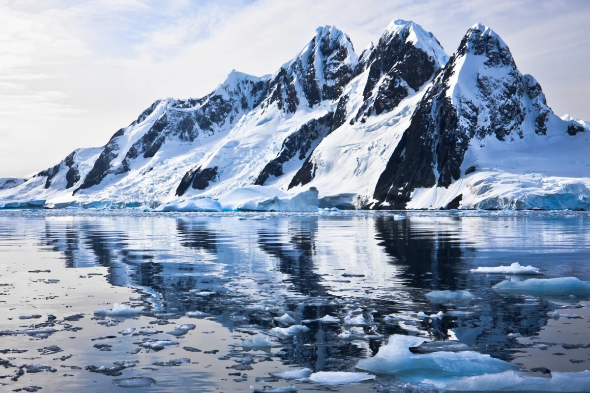 Bacteria have been discovered living in polar ice and snow, which was previously thought to be too harsh for them to thrive