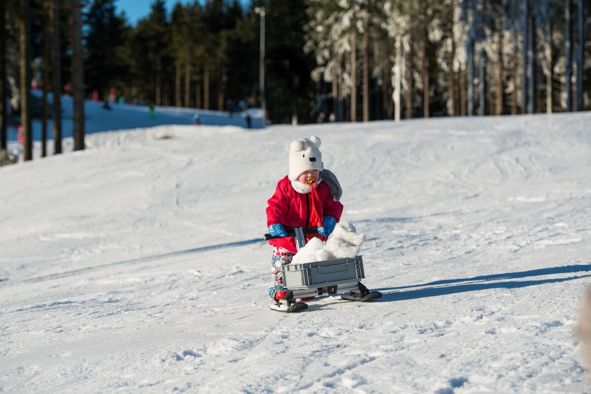 Infento Everest