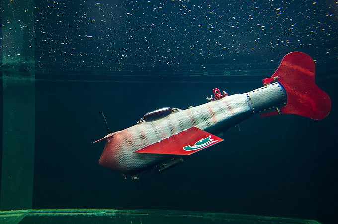 Grace, MSU's robot fish, pumps water in out and out of its body to control its buoyancy (Photo: Xiaobo Tan)