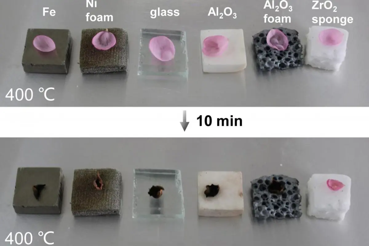 A sample of the ceramic sponge (far right) protects a flower petal from heat, where other porous ceramic materials fail