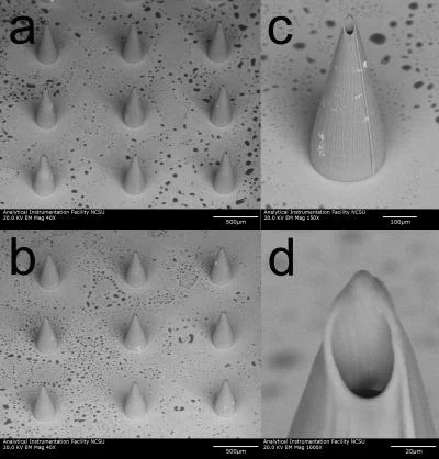 Hollow microneedles open the door to new techniques for diagnosing and treating a variety of medical conditions (Image: Roger Narayan, Faraday Discussions - Reproduced by permission of the Royal Society of Chemistry)