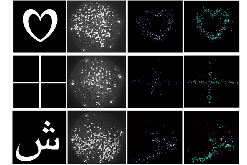 Patterns used to test the imaging system