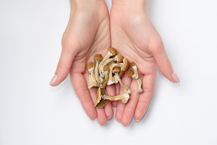 Fancy a trip in Oregon? The first psilocybin therapy clinics aren't too far off