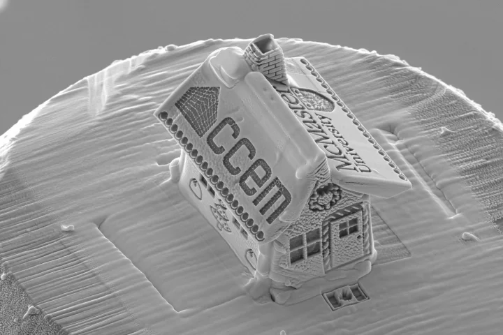 The "gingerbread" house is a mere 6 microns wide by 10 microns long