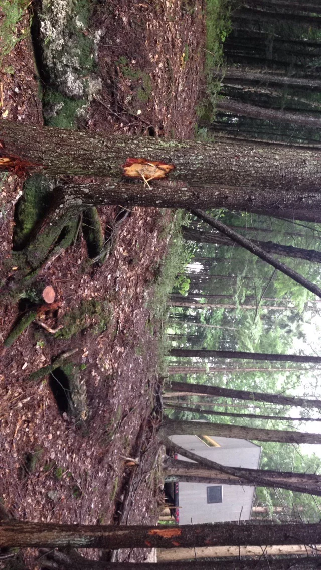 The firm says that it is named in honor of a beloved grandmother