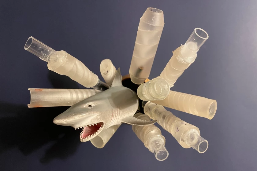 Bio-inspired one-way-flow pipes handle liquid like sharks digest food