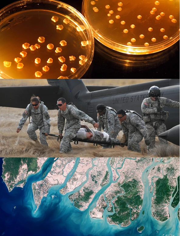 DARPA’s Biological Technologies Office will explore the increasingly dynamic intersection of biology and the physical sciences (Image: DARPA)